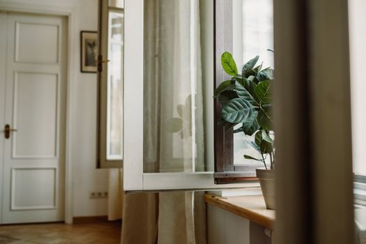 Vzduch v byte: vlhkosť, vetranie a rastliny